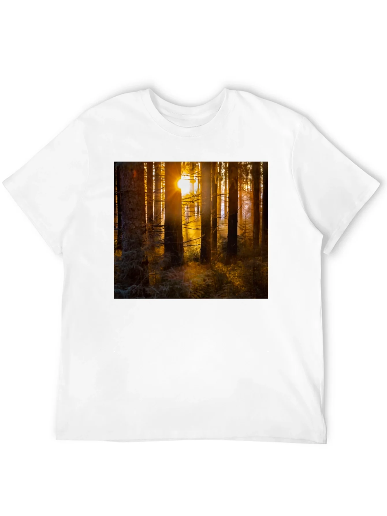 Forest Sun T-Shirt - Nature Inspired Apparel