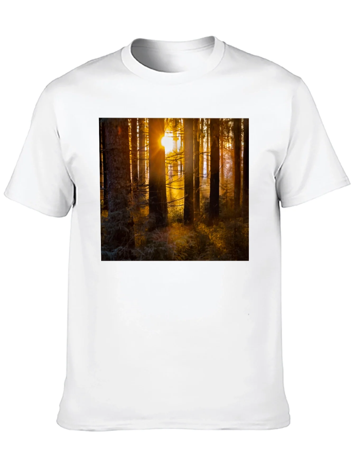 Forest Sun T-Shirt - Nature Inspired Apparel