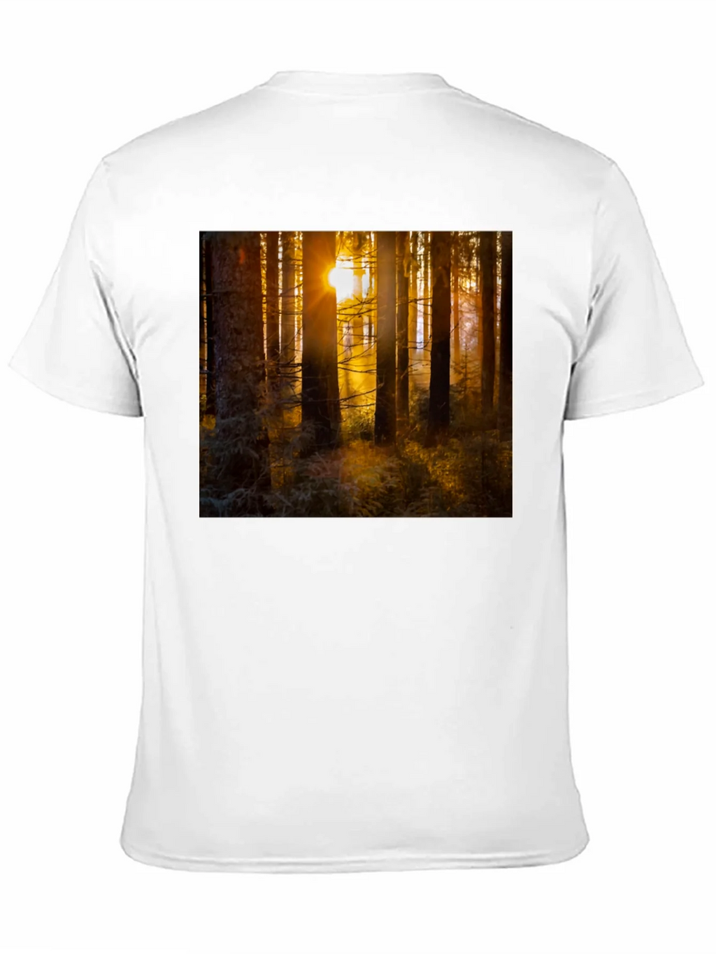 Forest Sun T-Shirt - Nature Inspired Apparel