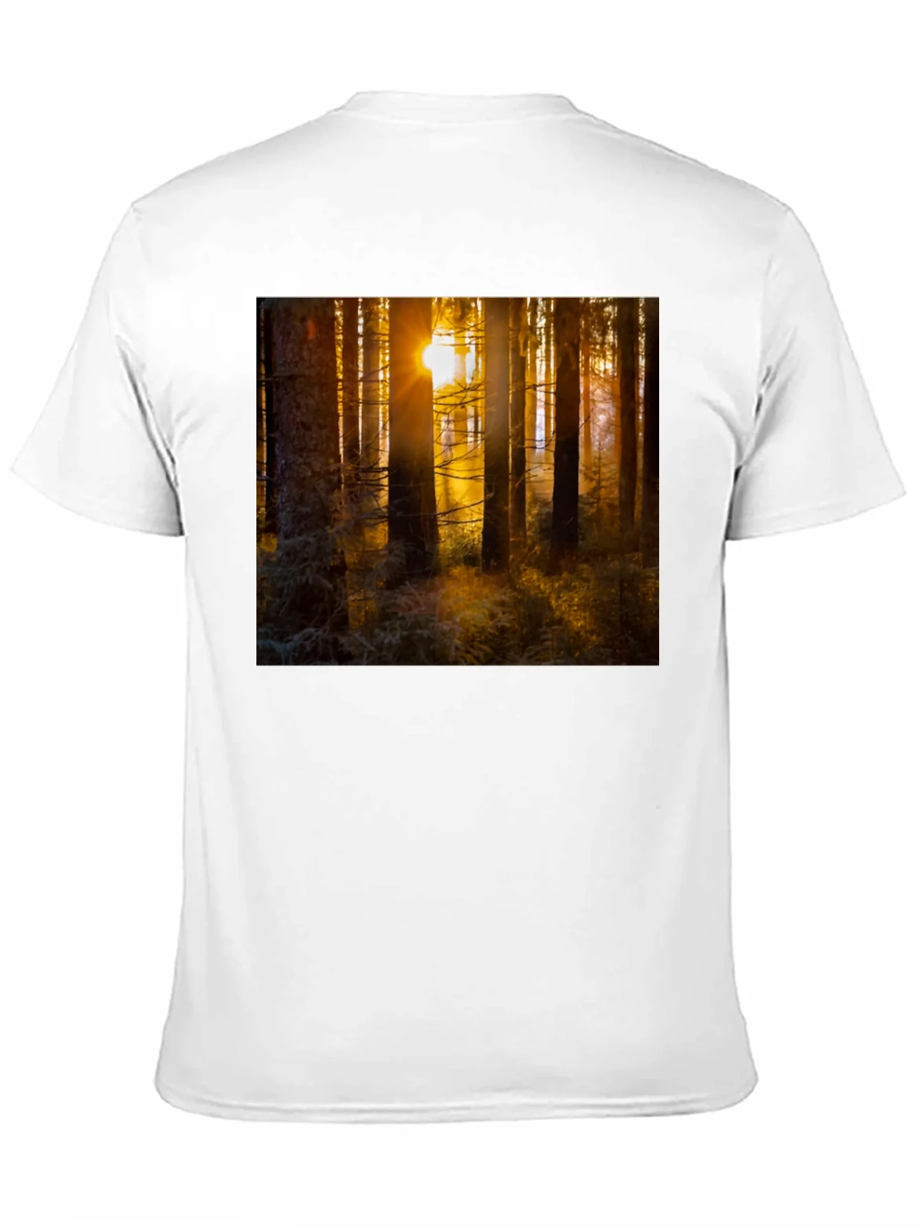 Forest Sun T-Shirt - Nature Inspired Apparel