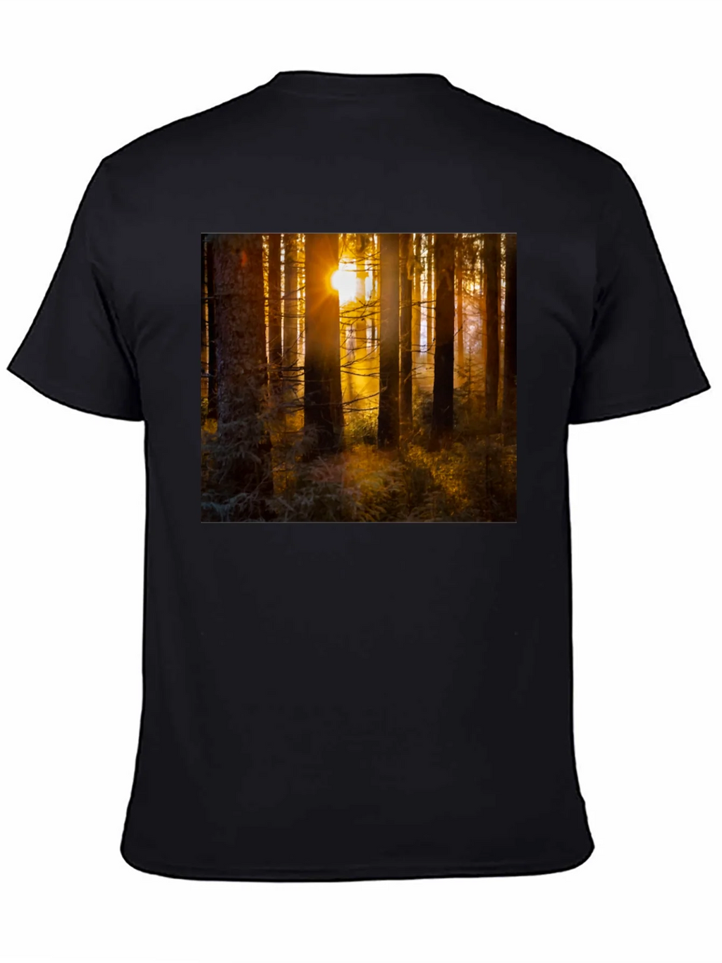 Forest Sun T-Shirt - Nature Inspired Apparel