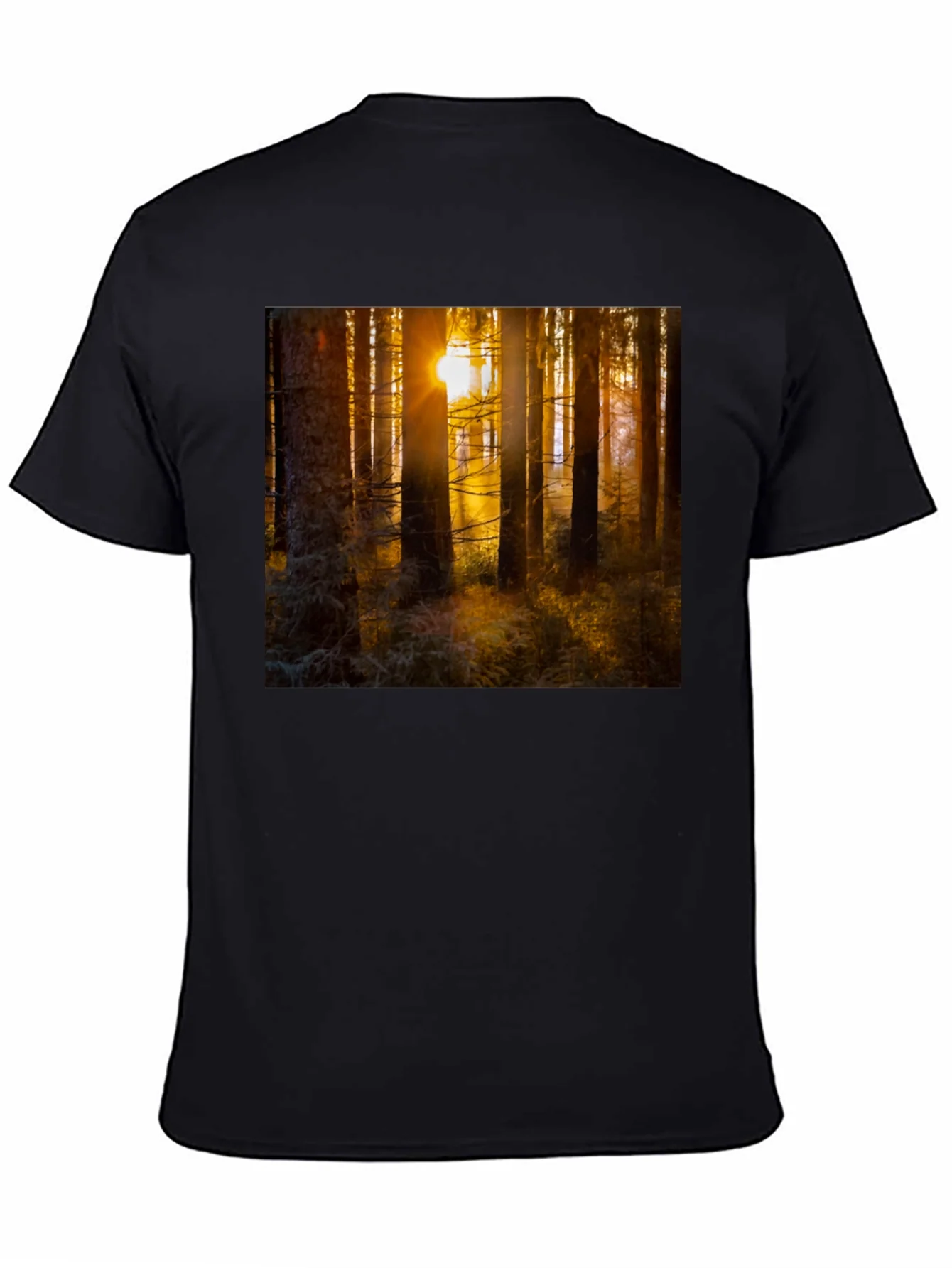 Forest Sun T-Shirt - Nature Inspired Apparel