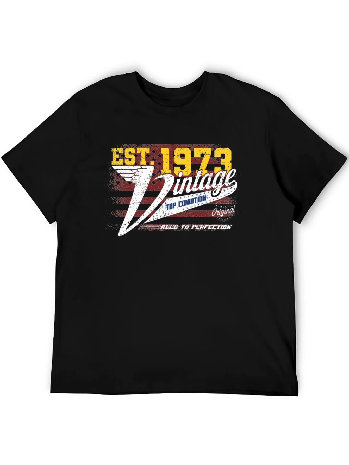 Est. 1973 Vintage Graphic T-Shirt