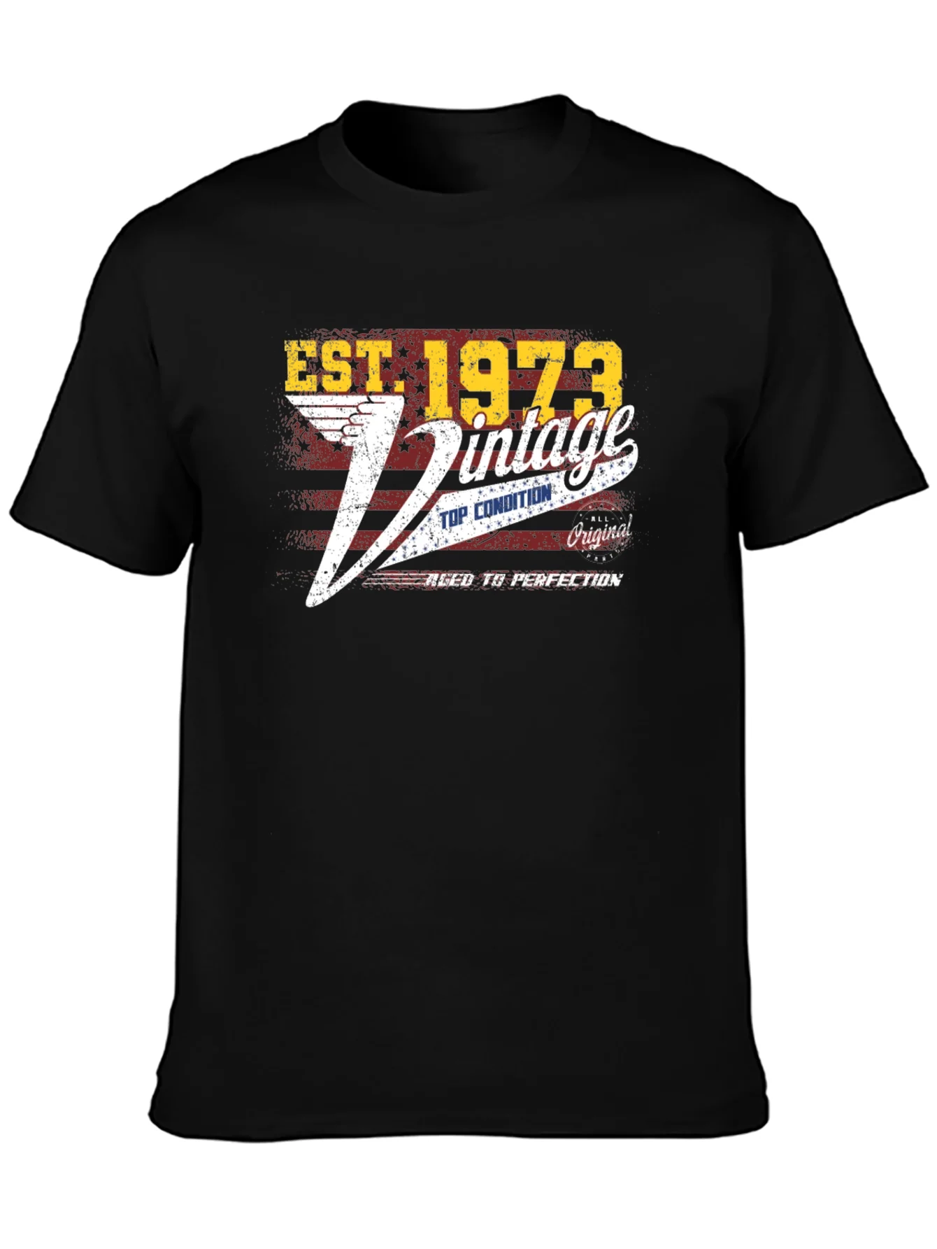 Est. 1973 Vintage Graphic T-Shirt